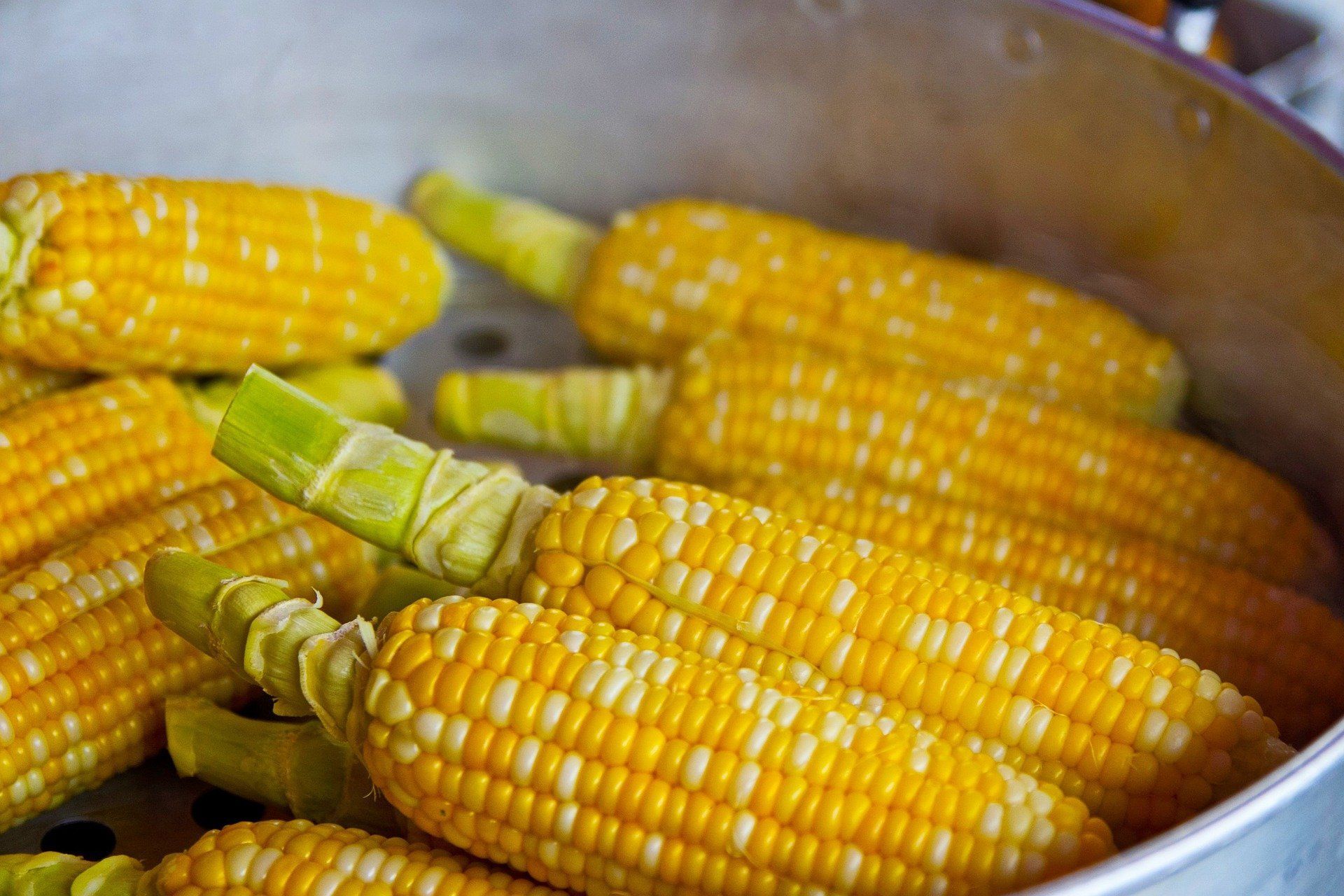 Pieczona kukurydza z masłem chili – przekąska pełna aromatycznych ziół
