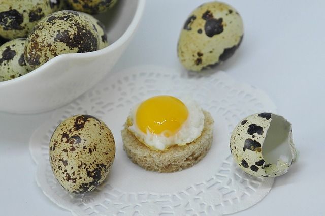 Pyszne jajka przepiórcze w majonezie koperkowym