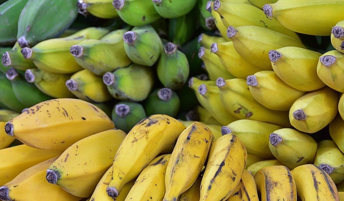 Takie są pełne niebezpiecznych substancji. O czym świadczy kolor skórki banana?