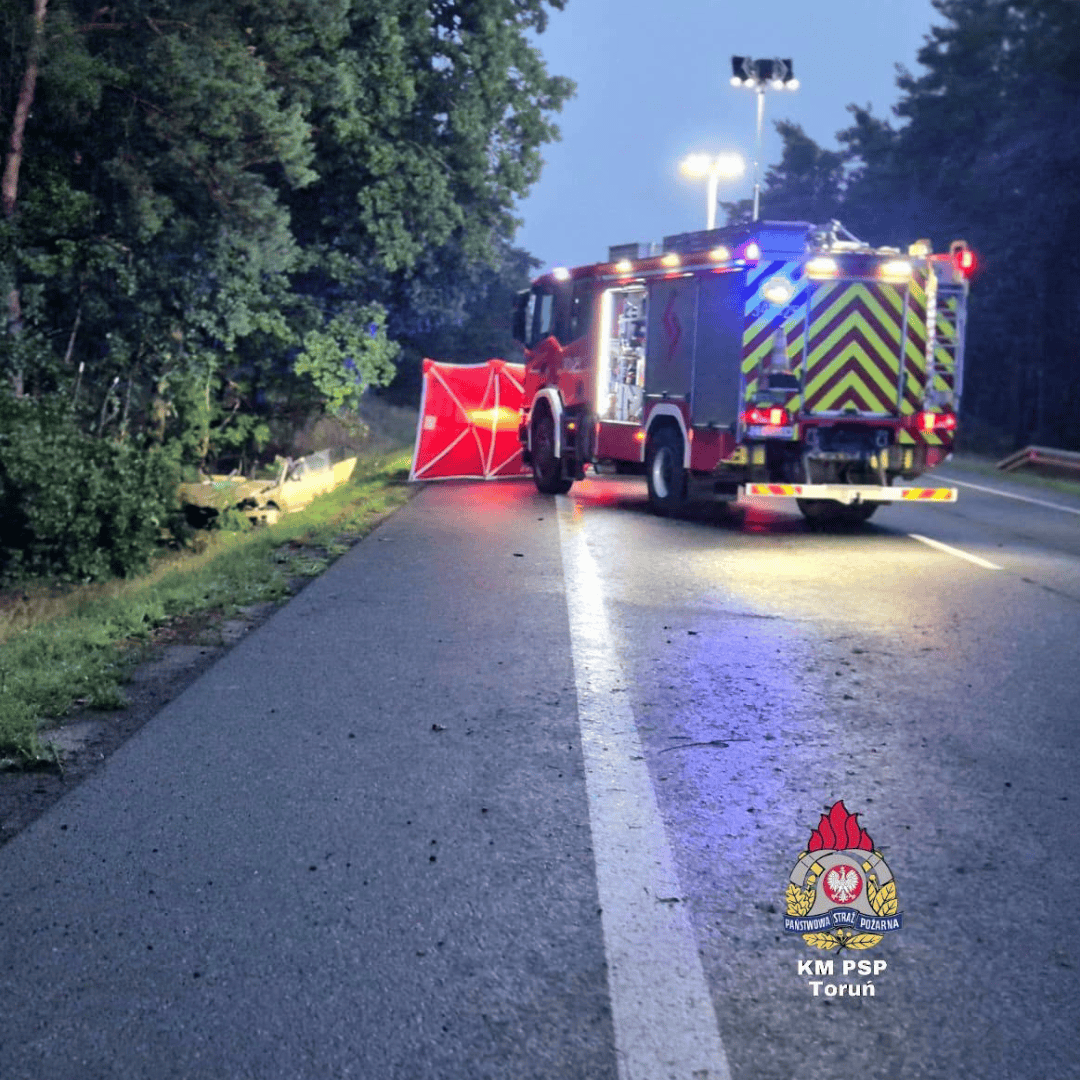 Śmiertelny wypadek na DK 91. Kierowca najechał na leżące drzewo, zginęła 19-latka