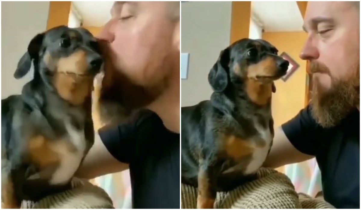 Całowanie psa