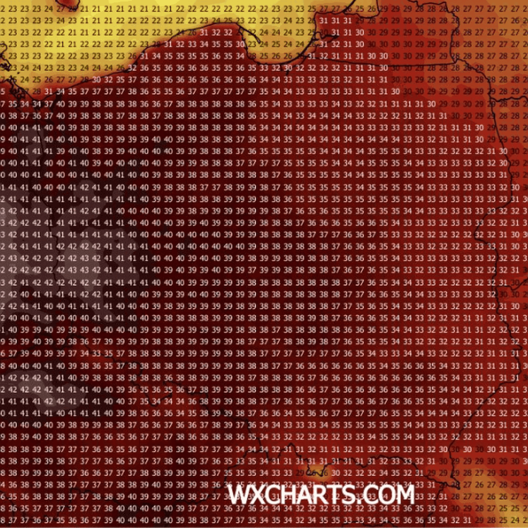 Po chłodnym lipcu do Polski wracają upały. Prognozy wskazują nawet 40 stopni