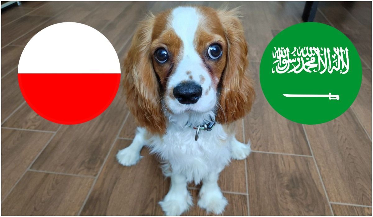 Oti Polska-Arabia