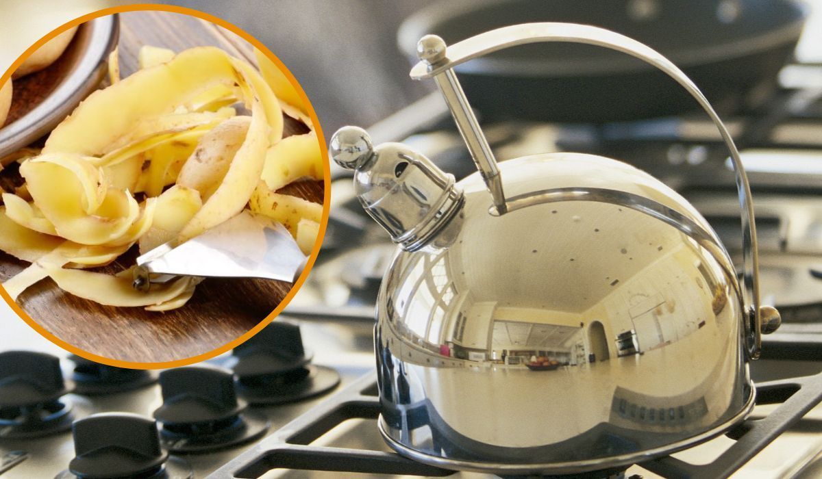 Włóż obierki z ziemniaka do czajnika i zagotuj. Efekt przejdzie najśmielsze oczekiwania