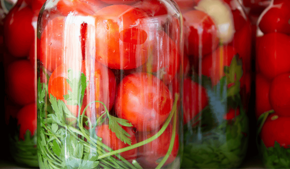 pomidory w zalewie