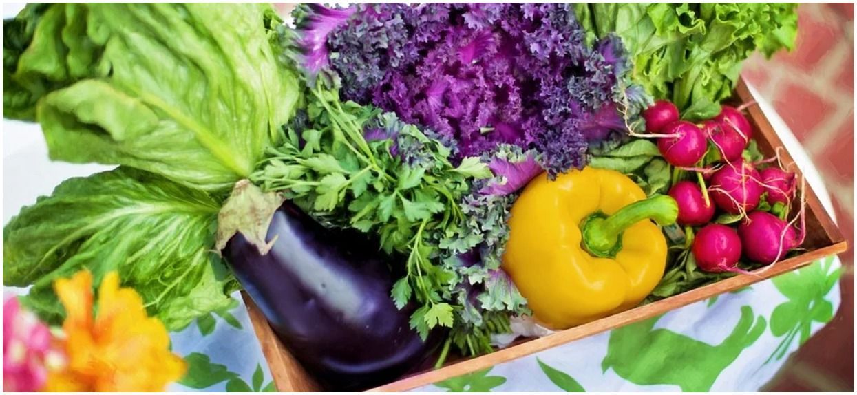 Jak uprawiać warzywa na balkonie – zasady oraz wybór roślinności