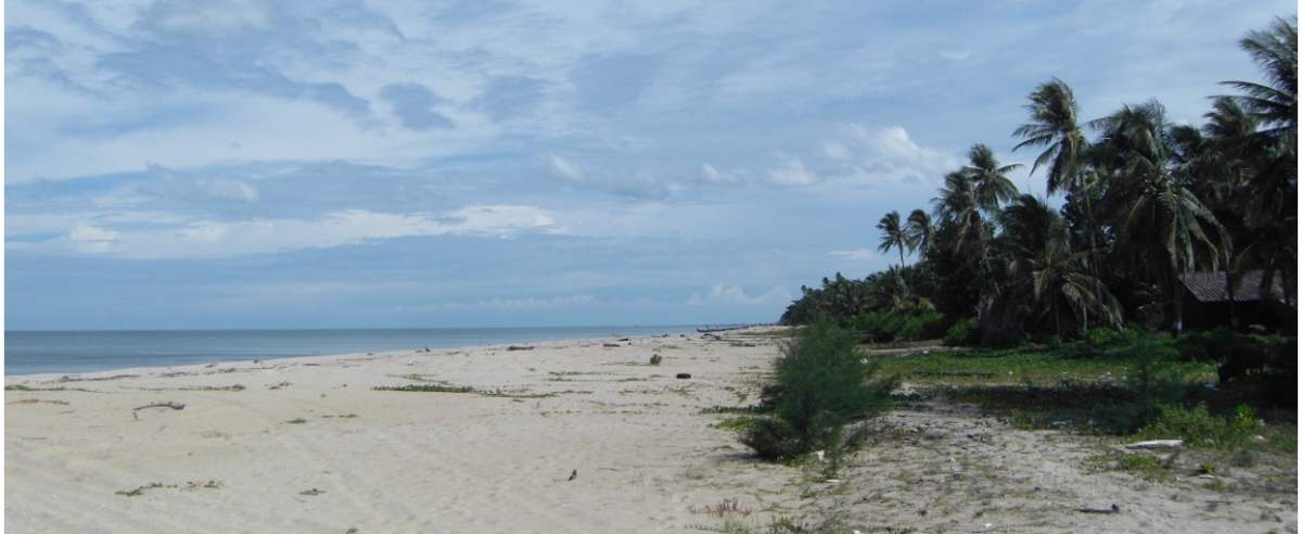 Odkrycie na tajskiej plaży