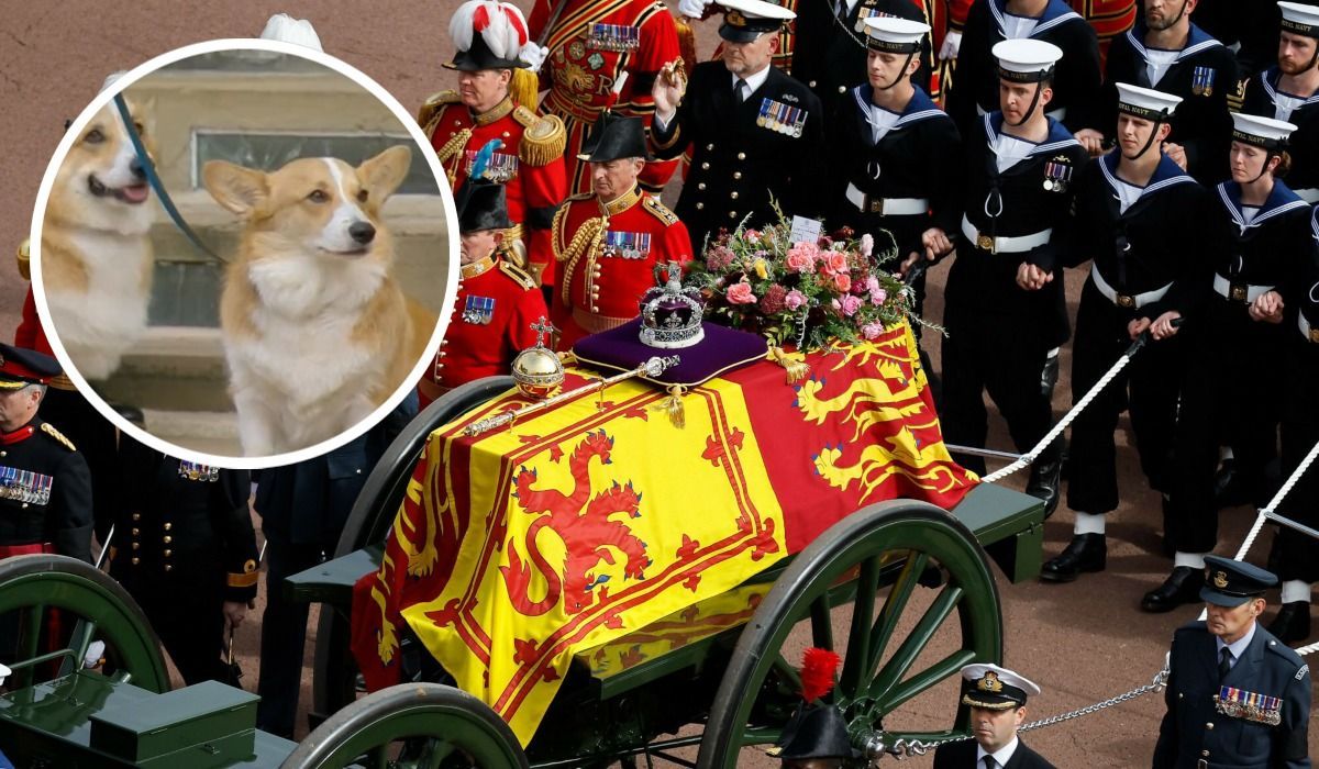 Psy królowej Elżbiety II