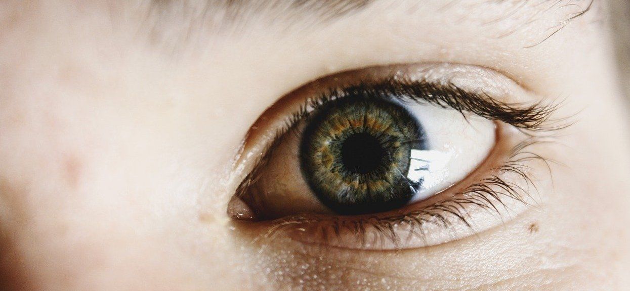 Kolor: oczu dziecka, przewidywanie