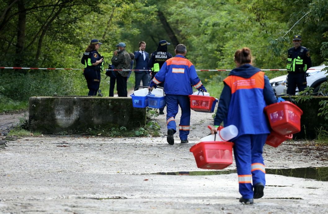 W oczyszczalni ścieków w Ząbkowicach Śląskich znaleziono martwy płód