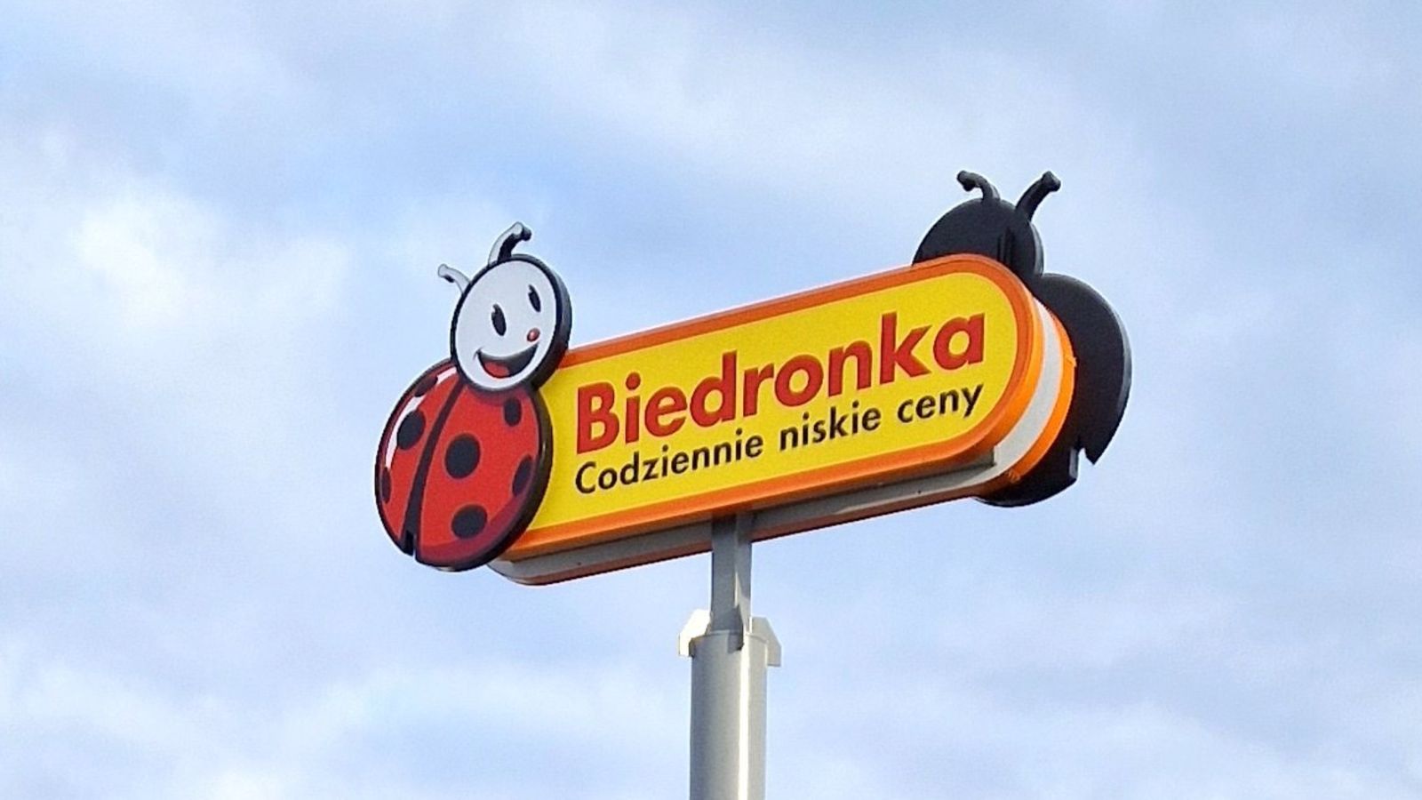 Ważne wieści dla posiadaczy karty “Moja Biedronka”. W tym wypadku trzeba wyrobić ją na nowo