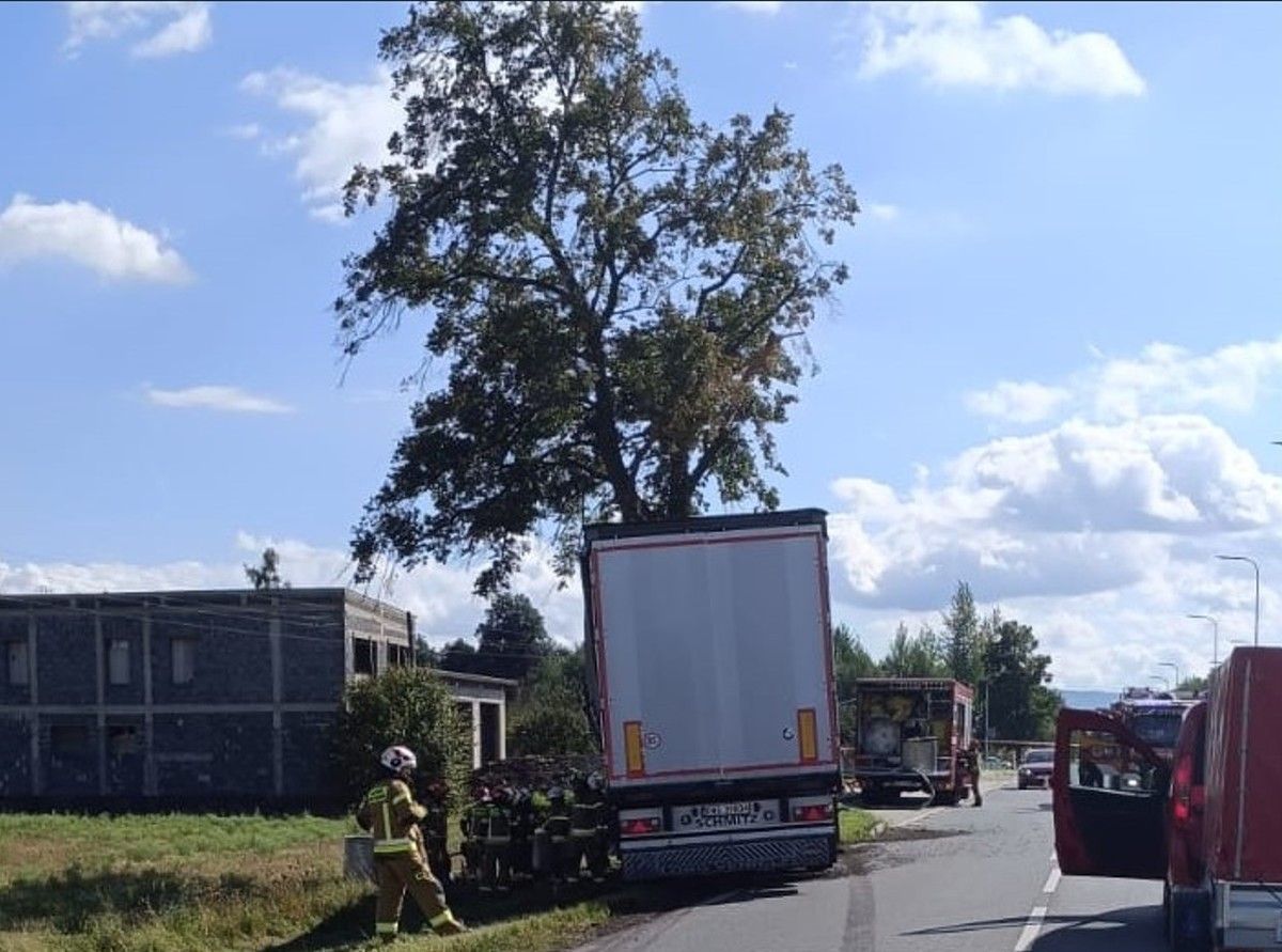 Tragedia na polskiej trasie. W akcji wiele służb, droga całkowicie zablokowana