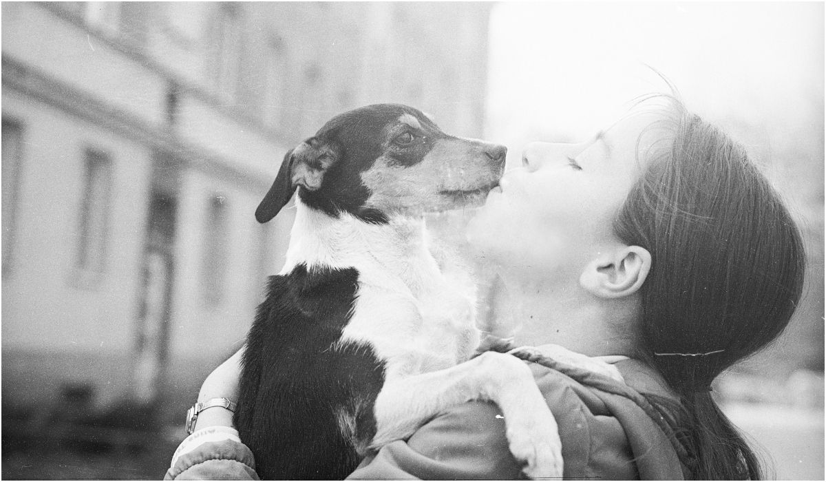 Dziewczynka z psem na rękach. Psy na spacerze na Czerniakowie w Warszawie, 1980.