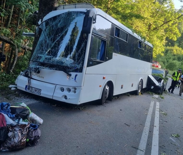 Dolny Śląsk: autokar wbił się w drzewo