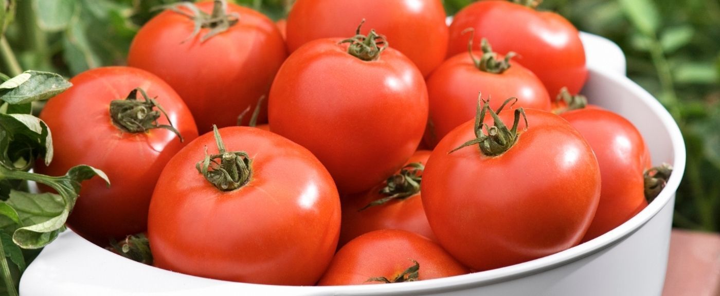 Pomidory i kwestia śniadania