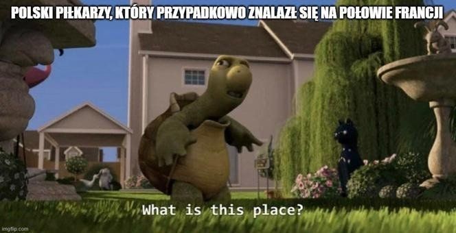 Francja - Polska. Najlepsze memy po meczu