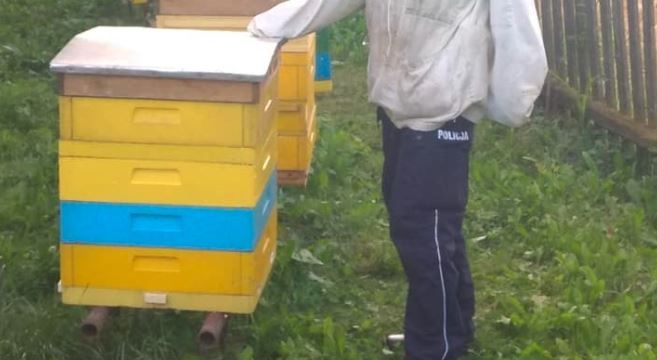 policja - pszczoły