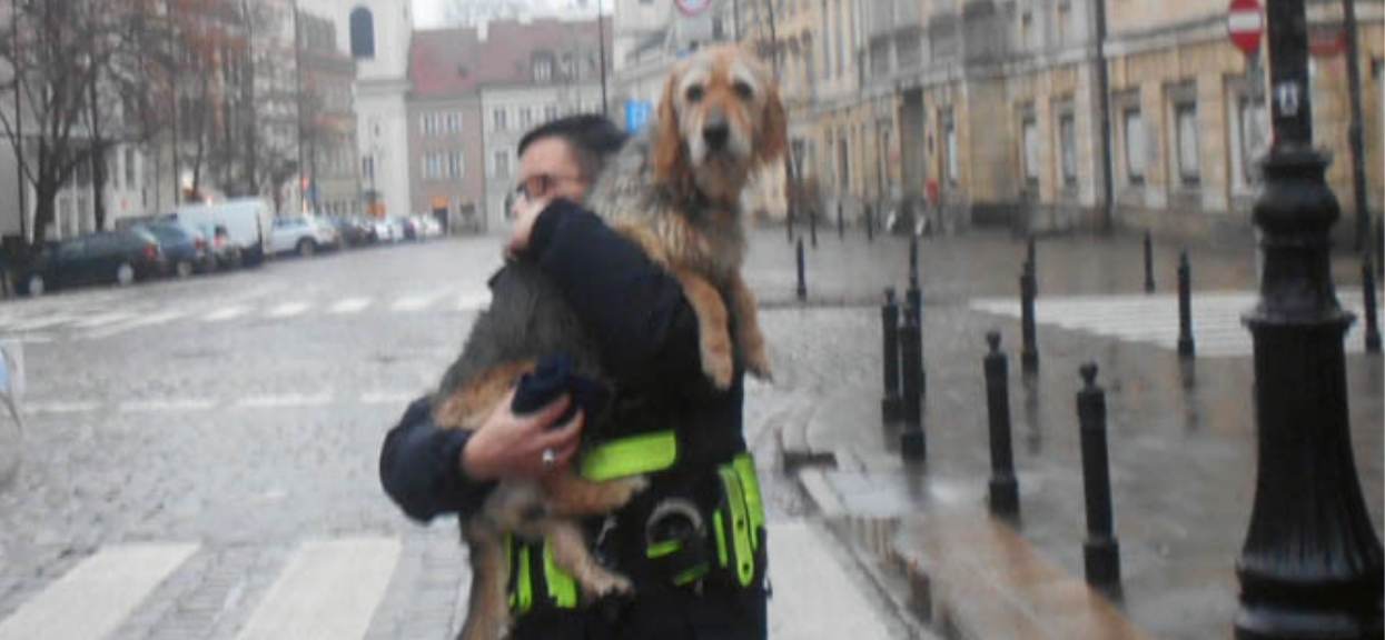 strażnik miejski z psem na rękach