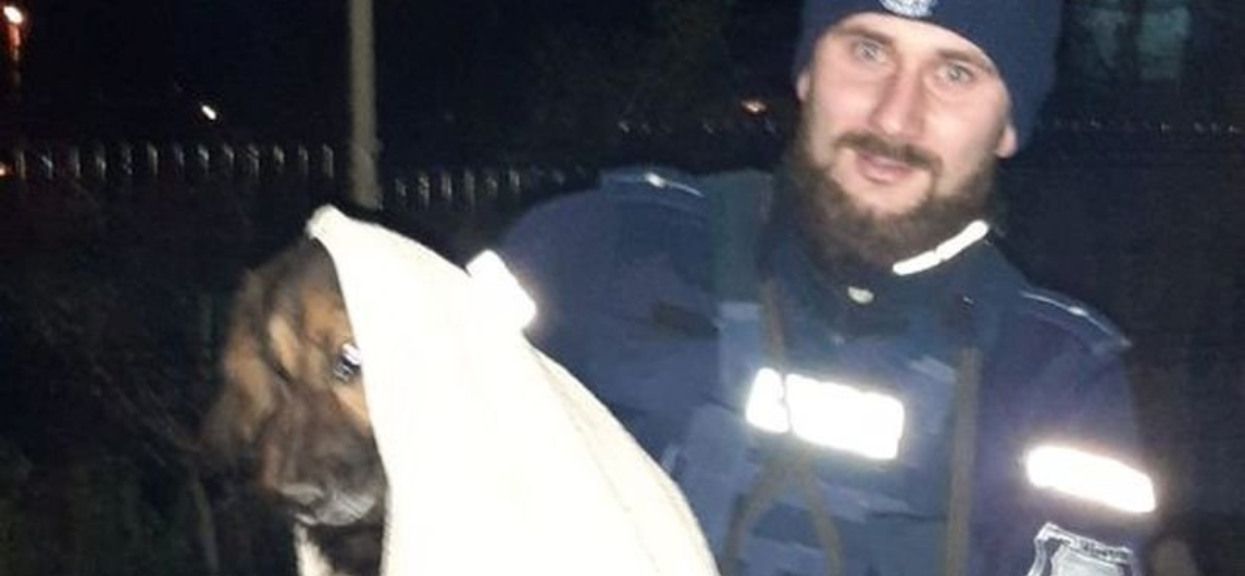 Policjant uratował psa
