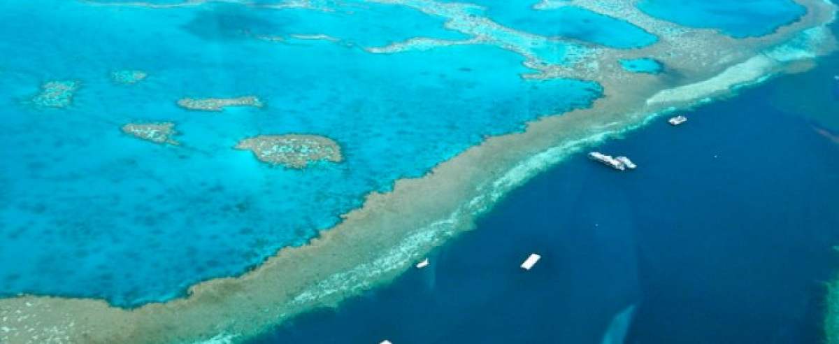 Australia zachwyca Wielką Rafą Koralową