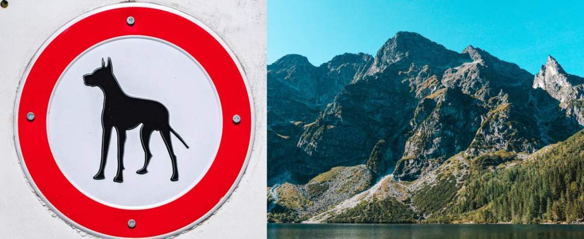 Zakaz psów, góry Tatry