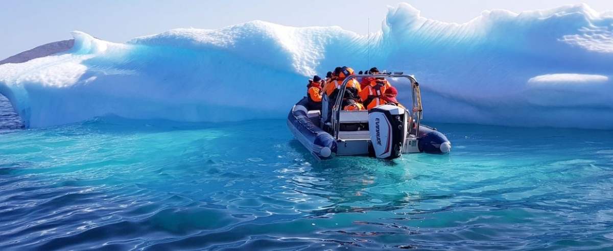 Antarktyda - odkryto nowe stworzenia