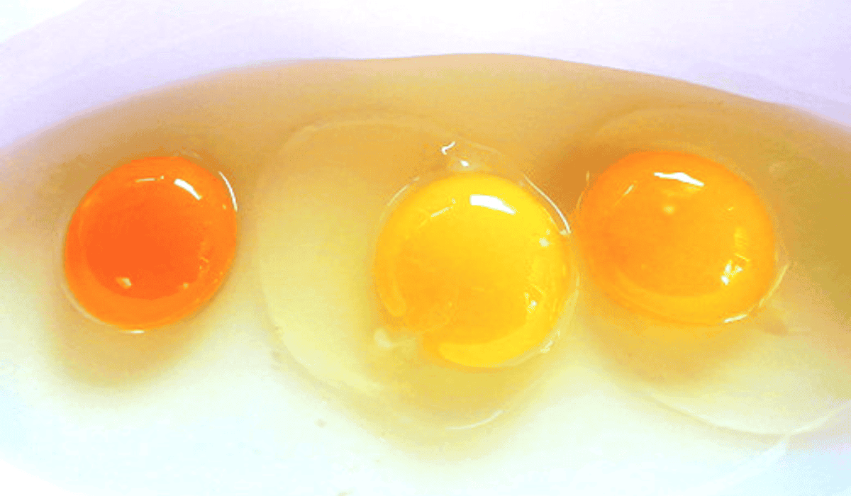 Które jajko jest najzdrowsze? Potrafisz to odgadnąć po kolorze żółtka?
