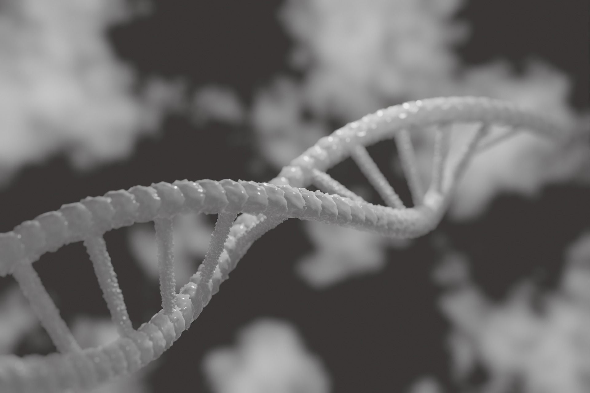 Badania genetyczne – na czym polegają i w jakich sytuacjach warto je wykonać?