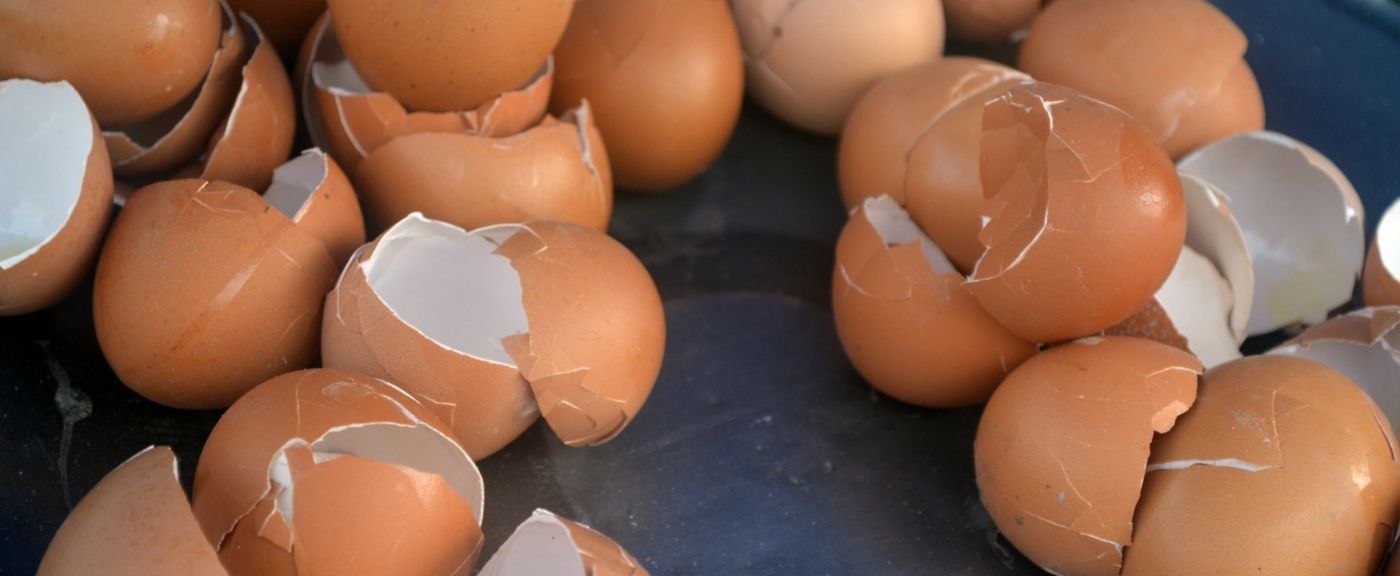 Skorupki jajek można wykorzystać w nietypowy sposób