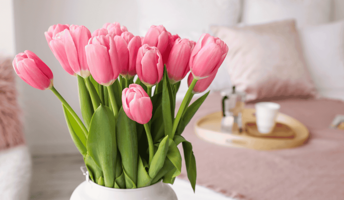 Cięte tulipany