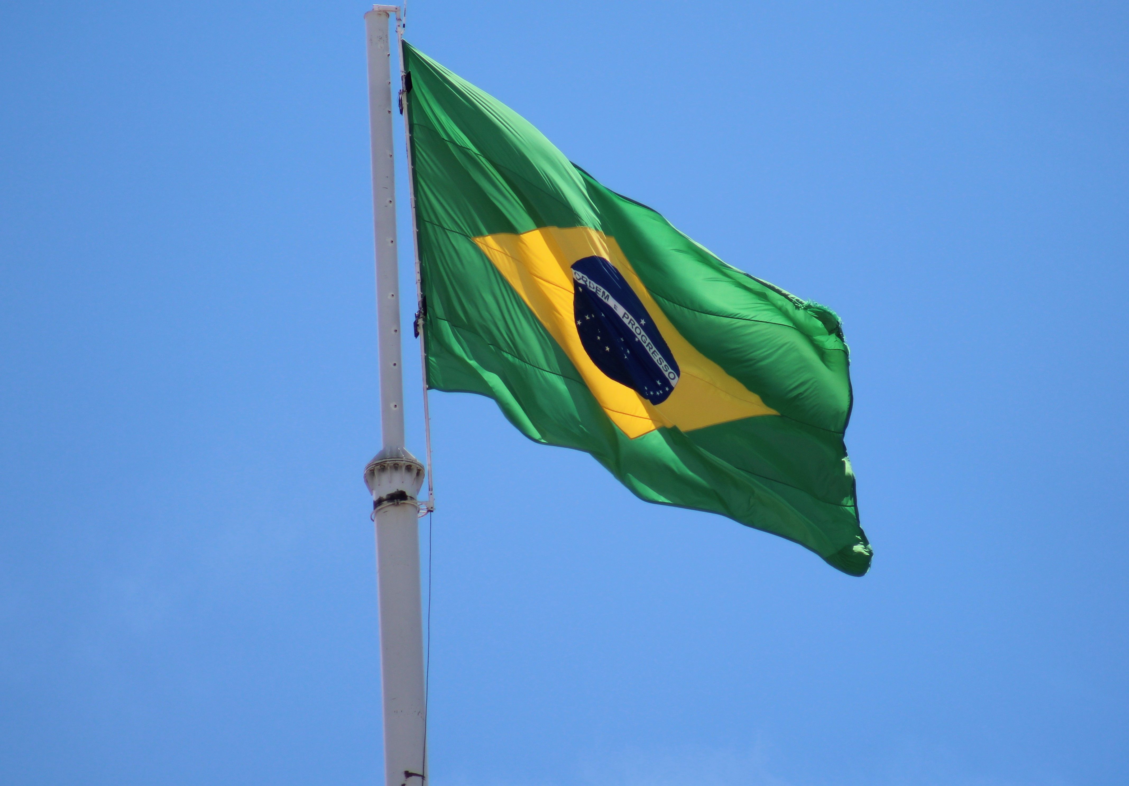 Brazilian Flag 2023