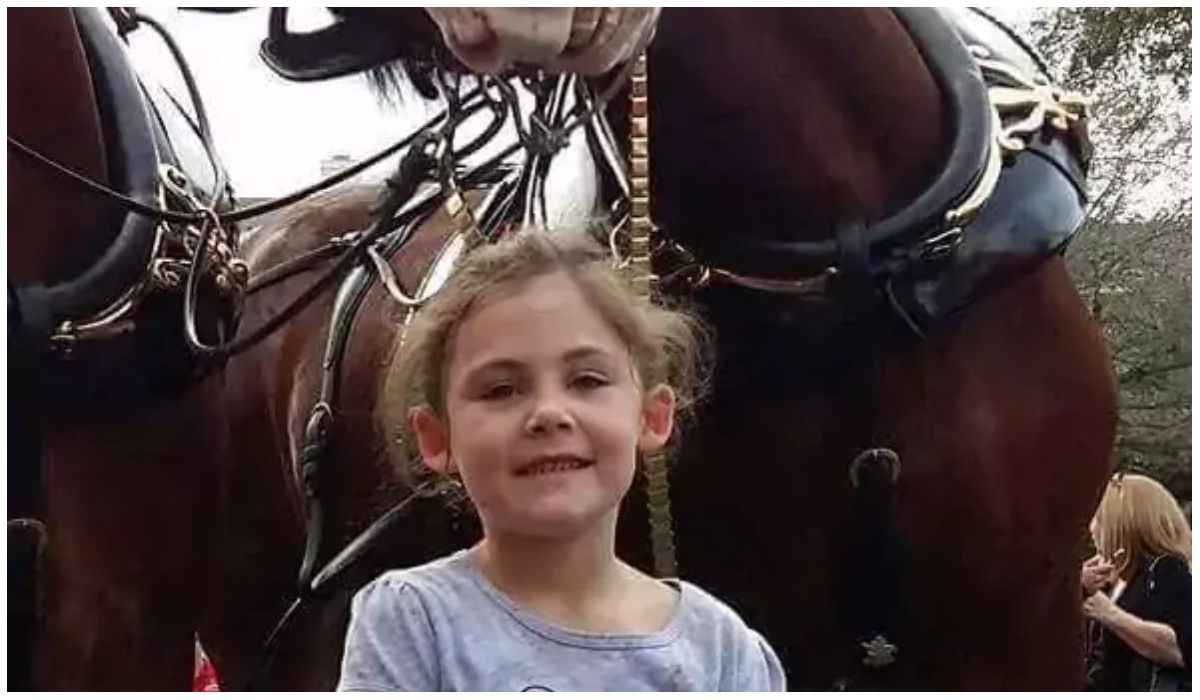 Zrobiła córeczce zdjęcie z koniem, ale coś poszło nie tak. Mina zwierzaka wprost bezcenna