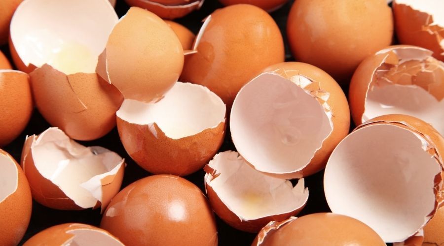 Dlaczego warto dodać skorupki z jajek do kawy? Korzyści zadziwiają