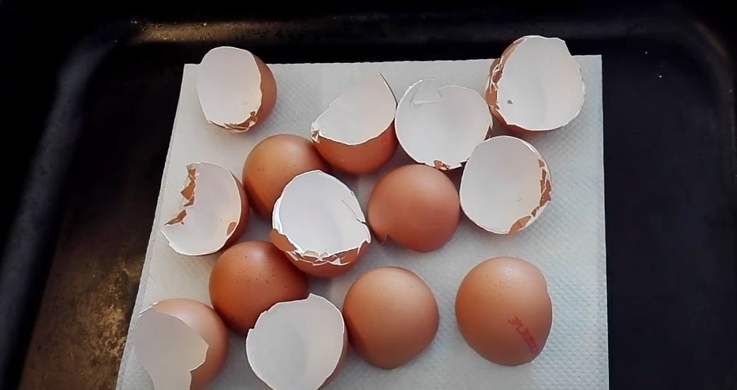 Skorupki po jajkach - co z nimi zrobić?