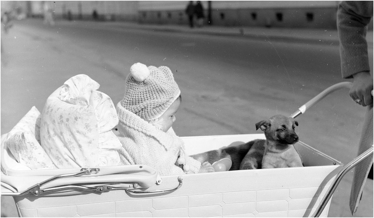 Dziecko z psem w wózku na ul. Elektoralnej w Warszawie, 1973. Archiwum Grażyny Rutowskiej