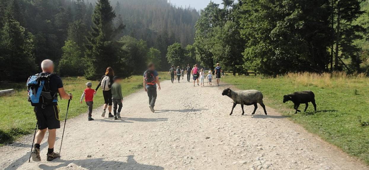 kamper park może powstać w Tatrach