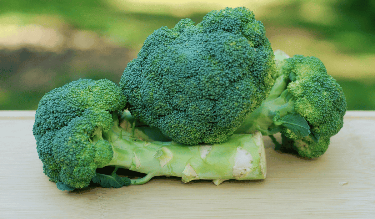 Kiszone łodygi brokułów - pyszny rarytas z resztek