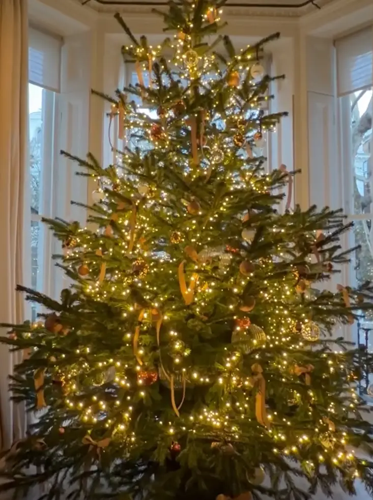 Boże Narodzenie 2025: Tak gwiazdy udekorowały choinki. Luksus aż się wylewa