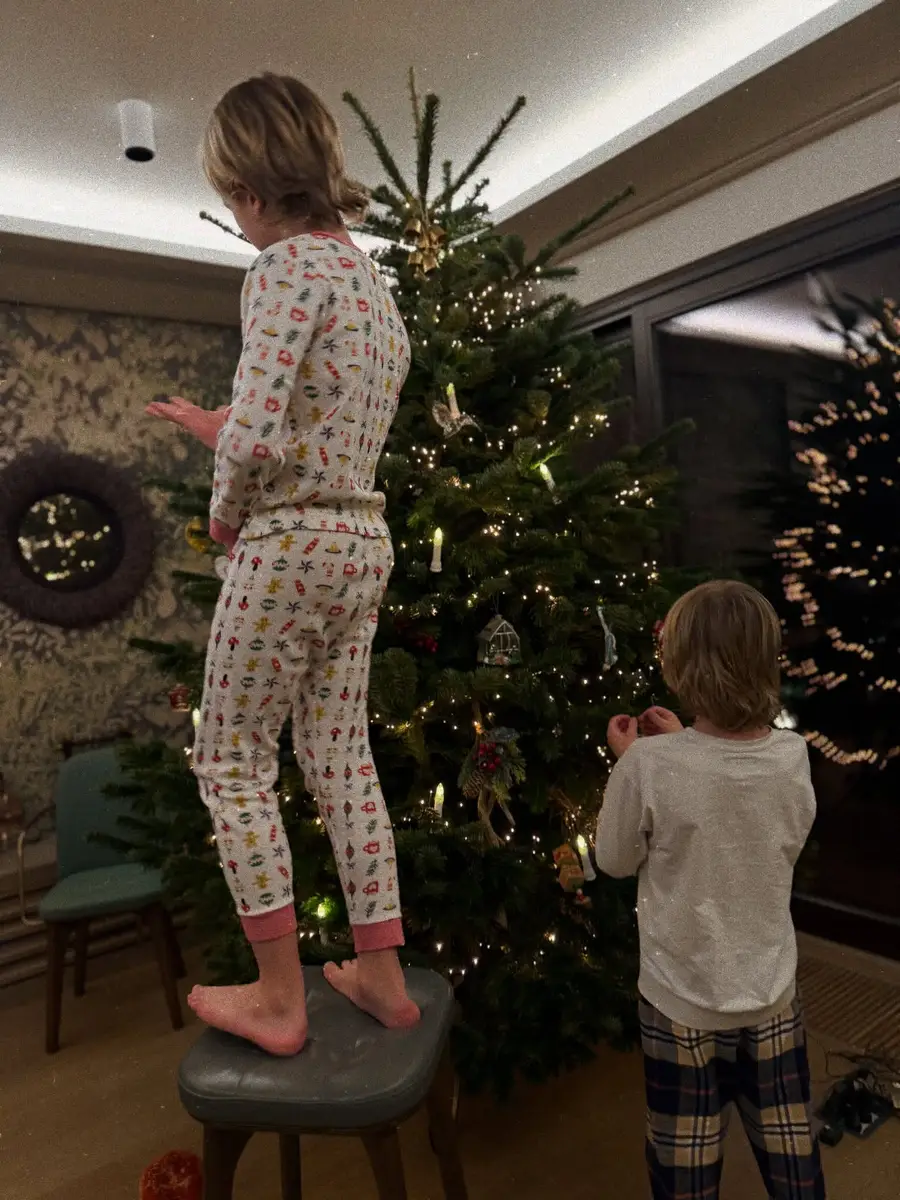 Boże Narodzenie 2025: Tak gwiazdy udekorowały choinki. Luksus aż się wylewa