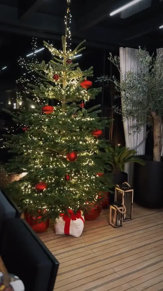 Boże Narodzenie 2025: Tak gwiazdy udekorowały choinki. Luksus aż się wylewa