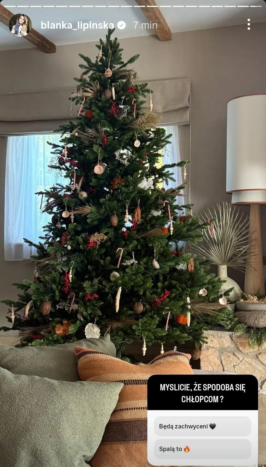 Boże Narodzenie 2025: Tak gwiazdy udekorowały choinki. Luksus aż się wylewa