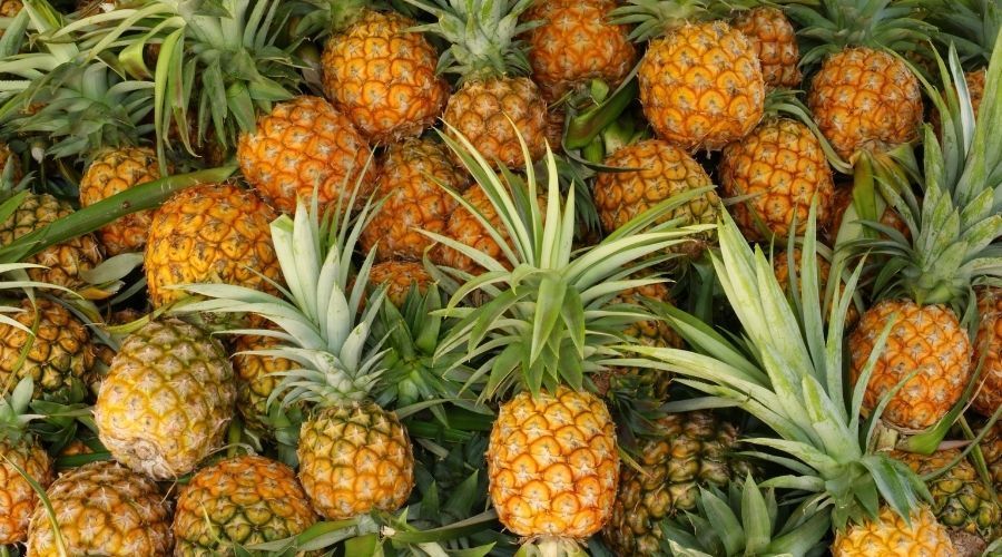 Jak wybrać dojrzały i najsmaczniejszy ananas? Wystarczy pociągnąć za listek