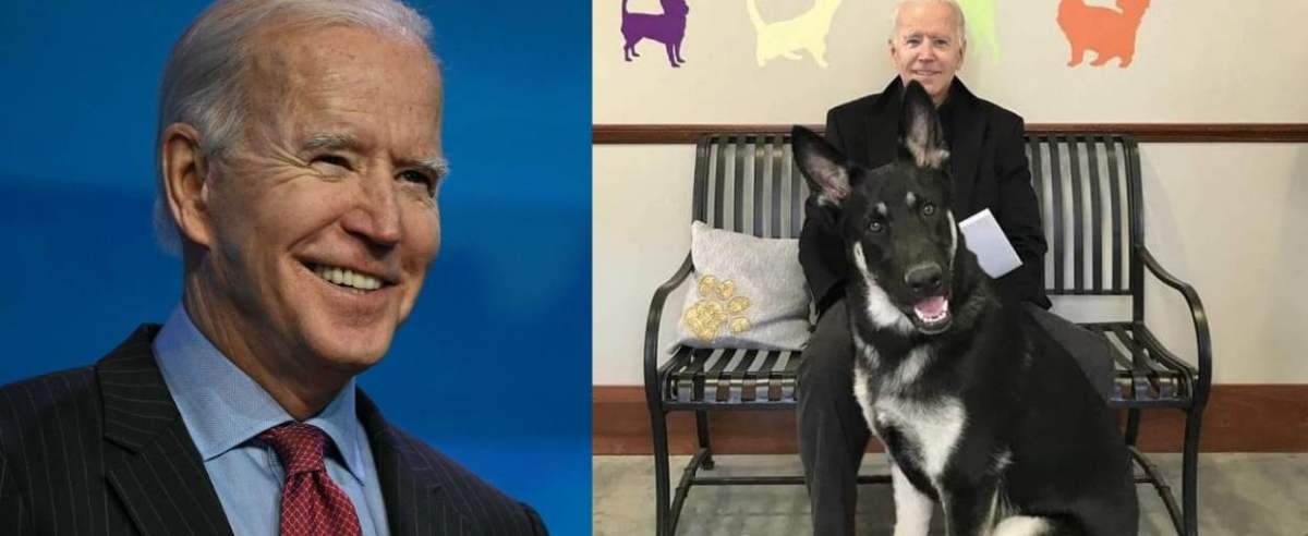 Joe Biden z psem