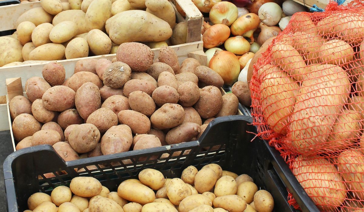 Jak wybrać odpowiedni rodzaj ziemniaków? Rozwiewamy wszelkie wątpliwości