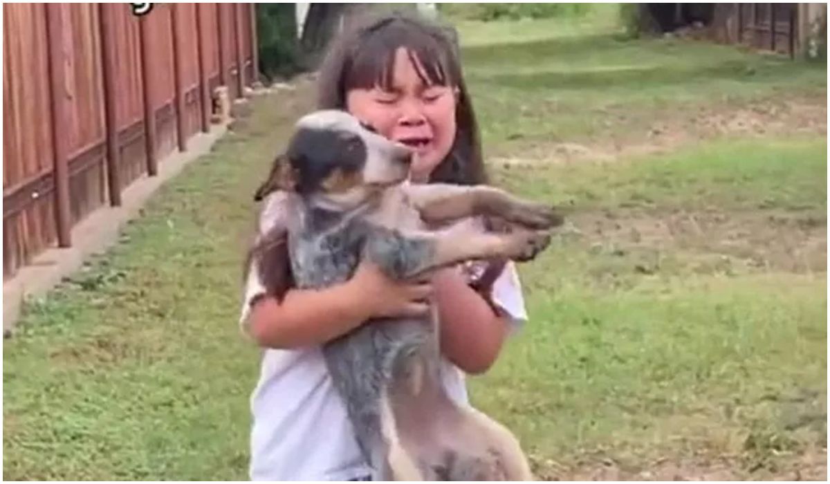 Dziewczynka przytulająca psa