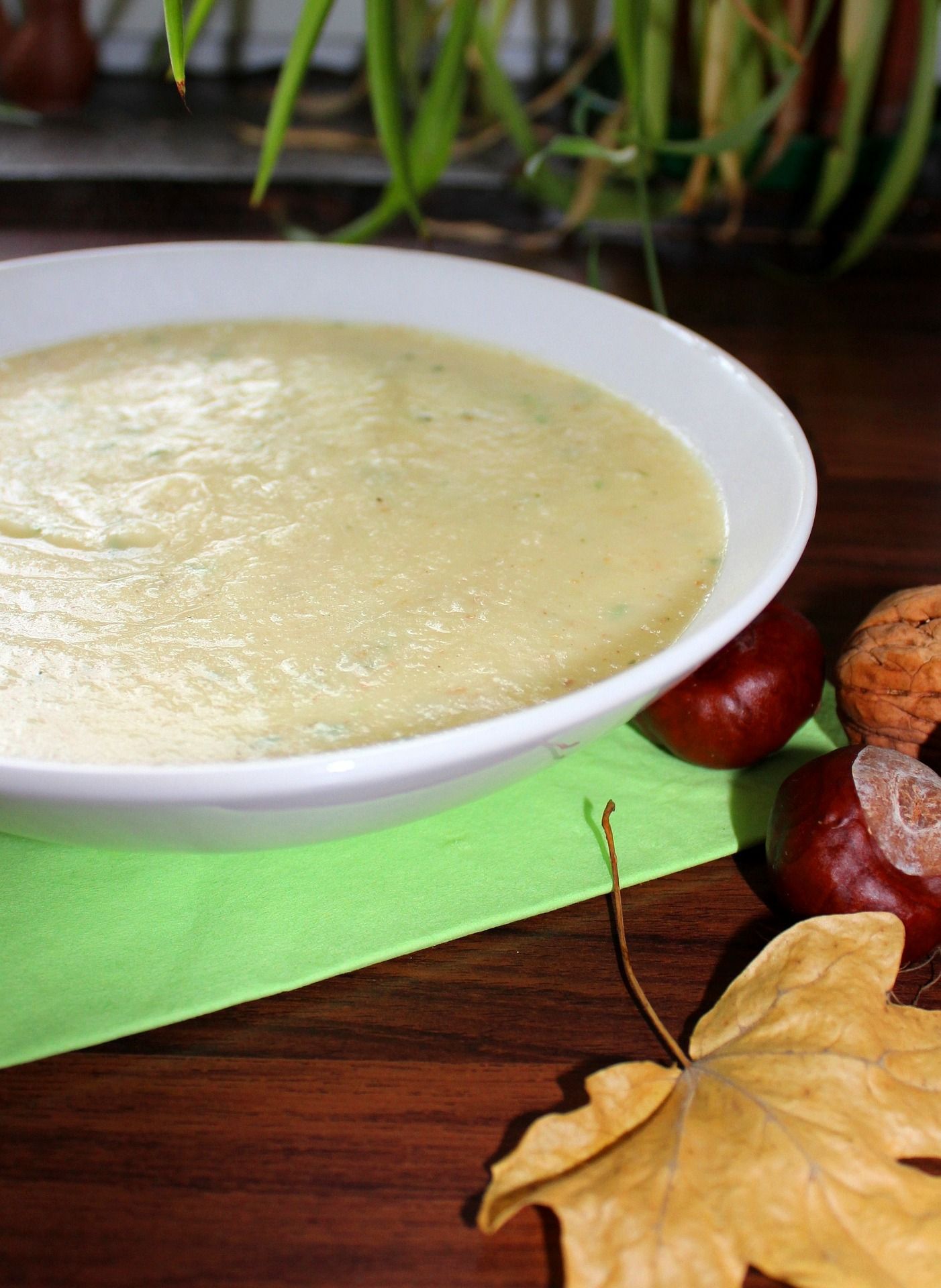 Zupa z pasternaku – pyszny krem z białych warzyw