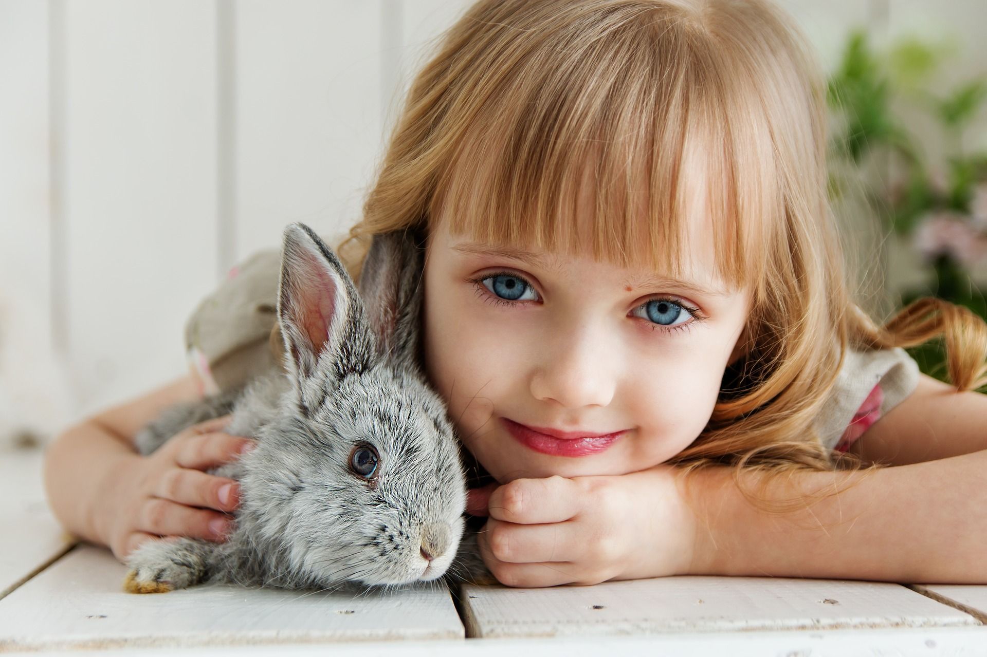 Zdjęcie ilustracyjne: dziewczynka z królikiem