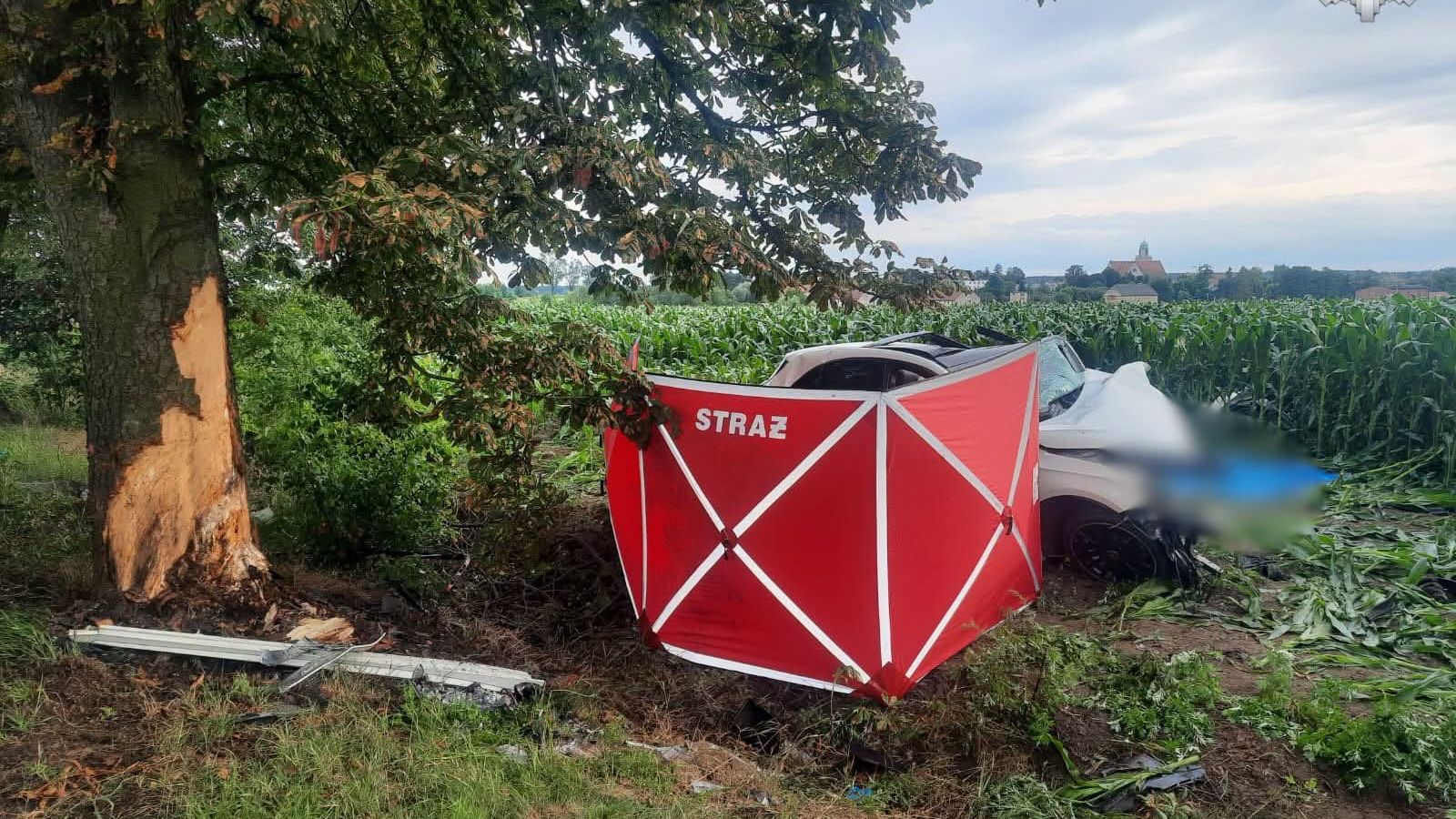 Wypadek w Świętoszowicach. Mercedes uderzył w drzewo, nie żyją dwaj młodzi mężczyźni