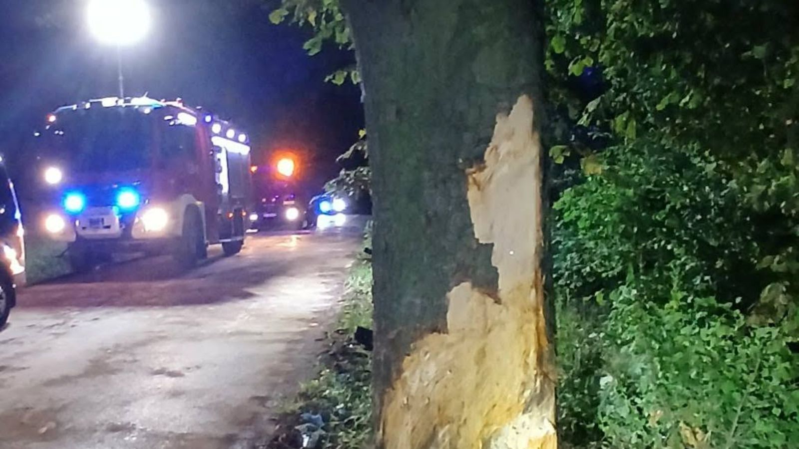 Wypadek w Świętoszowicach. Mercedes uderzył w drzewo, nie żyją dwaj młodzi mężczyźni