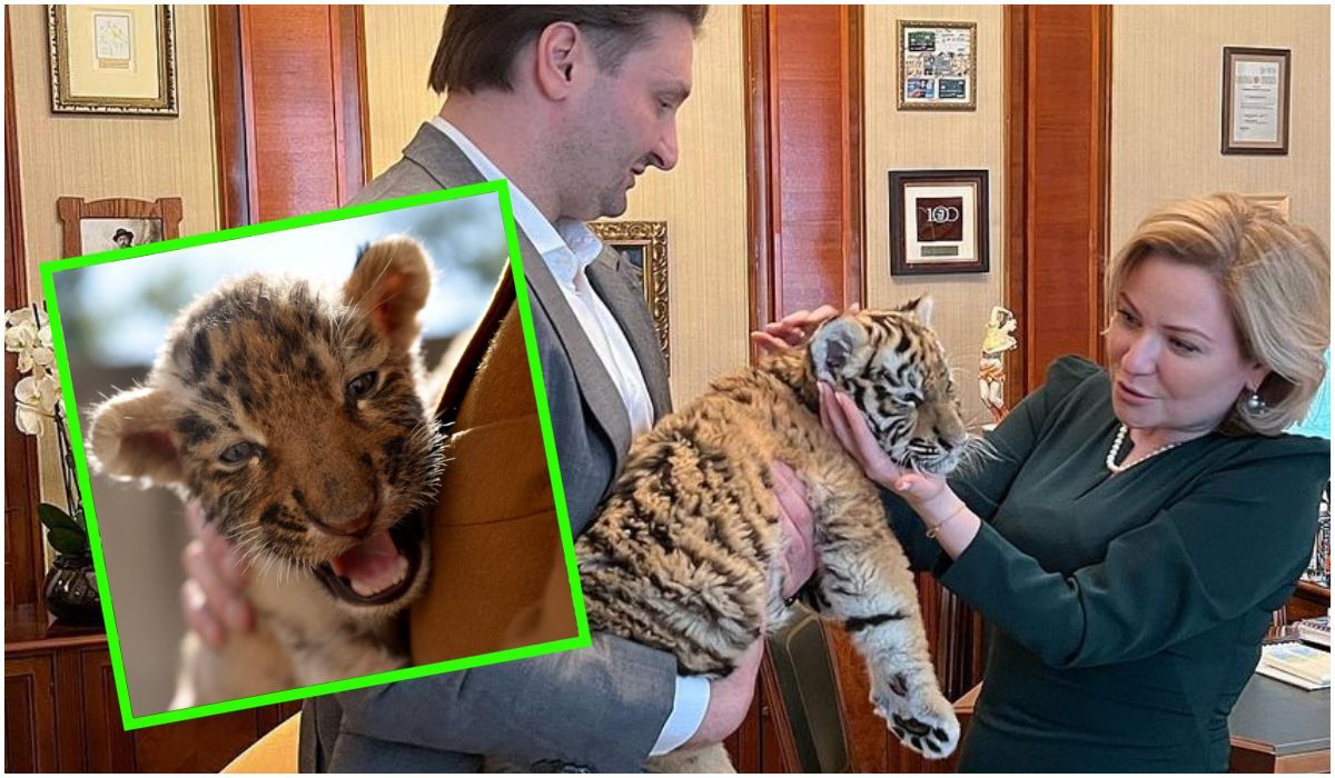 Rosyjscy politycy pozowali z młodym tygrysem